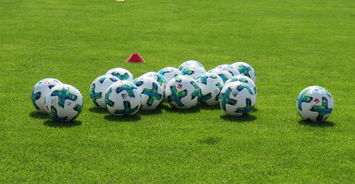 九游登录中心-德甲俱乐部足球与社会公益结合的品牌创新，德甲合作伙伴